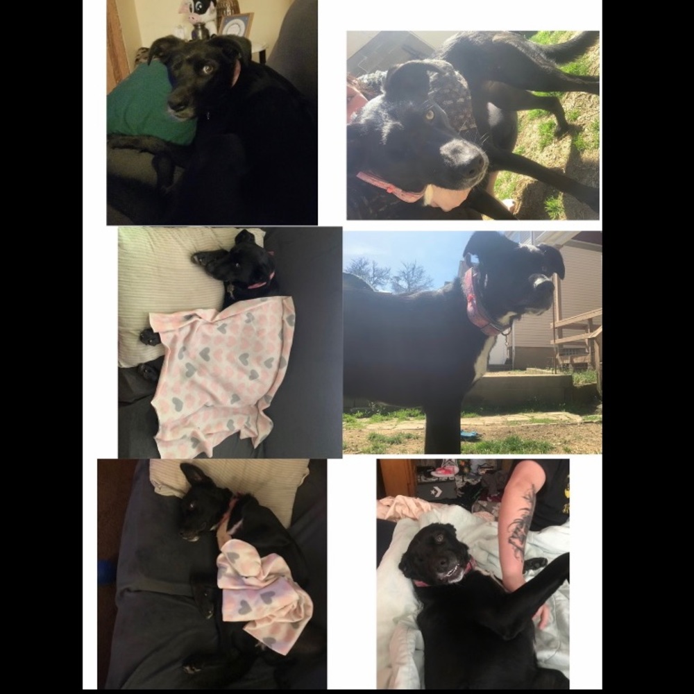 Helping my baby🐾💞 - Picture 7 of 8
